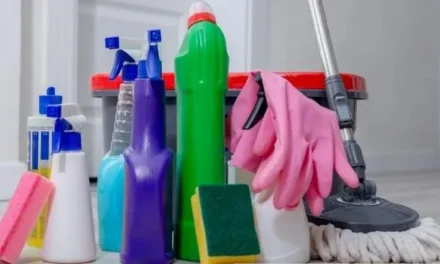 ANMAT prohibió seis marcas de productos de limpieza