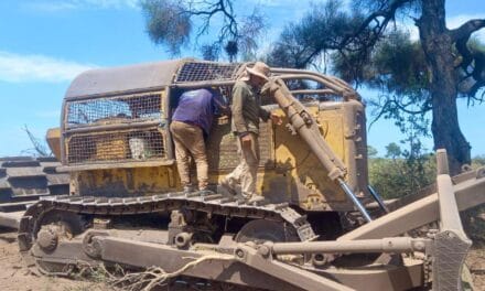 DETIENEN UN DESMONTE ILEGAL EN CERCANÍAS DE TRES ISLETAS