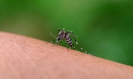 Recomendaciones y medidas de cuidado ante caso positivo de Dengue
